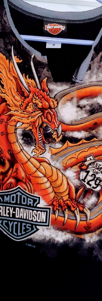 Harley Davidson Dragon Tail tank